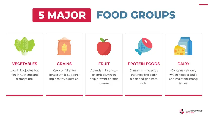 Infographic about the Five Major Food Groups